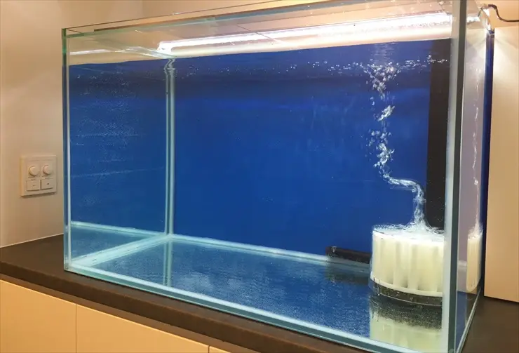 徹底比較】ガラス水槽とアクリル水槽の安全性・耐久性・価格について 