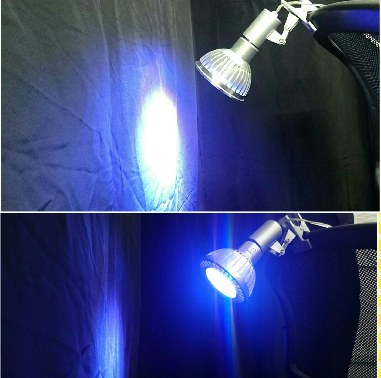 必見! 水槽用 照明 でおすすめの LEDライト | トロピカ