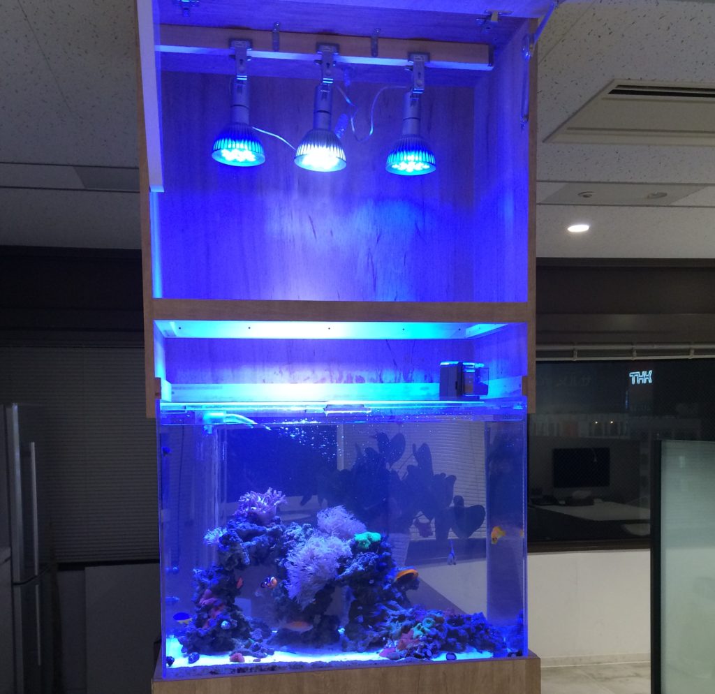 中型テラリウム水槽レイアウト 照明付き 9003-e1494556893462-1024x994.jpg