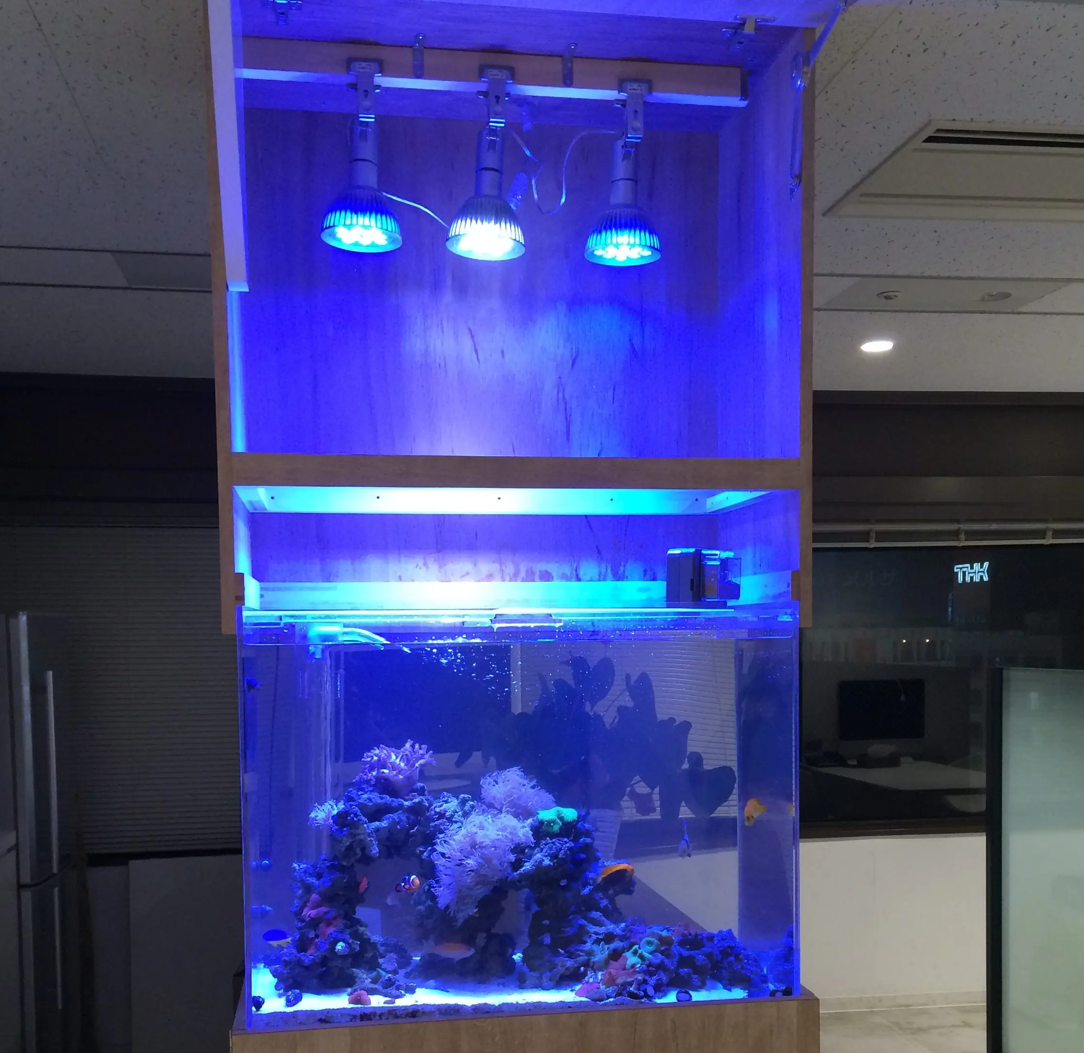 必見! 水槽用 照明 でおすすめの LEDライト｜アクアリウム情報メディア