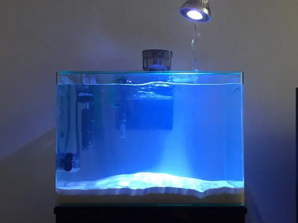 プロが教える】海水魚水槽を立ち上げるための基礎知識と設備の価格