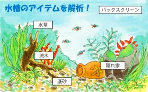 水草は再利用できる？あまったレイアウト用水草を活用する方法3個 