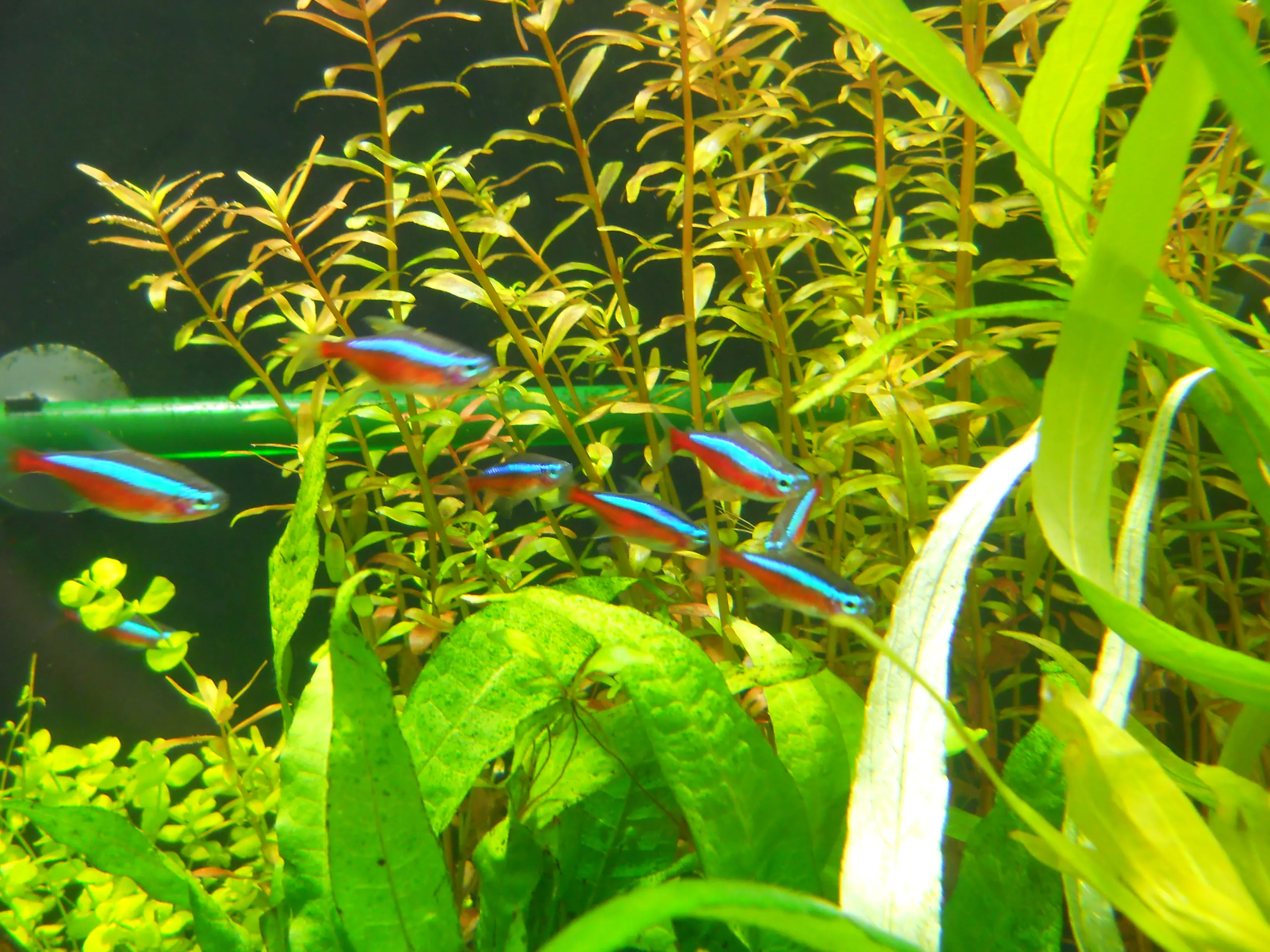 DSCN0691.jpg.webp
