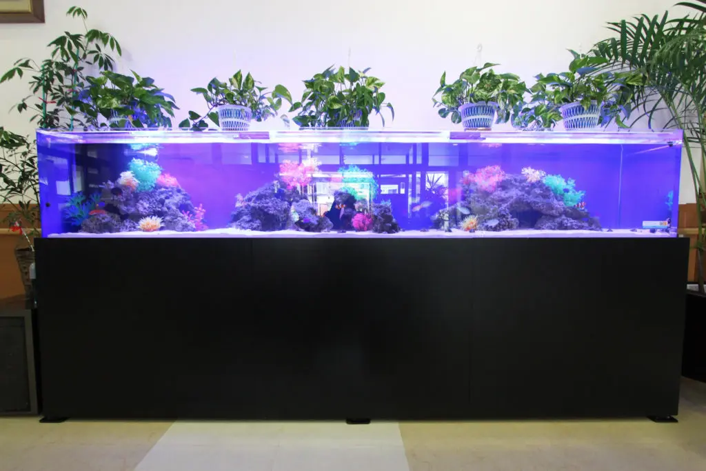 オーダーメイド水槽・水槽台の搬入と設置について｜アクアリウム情報