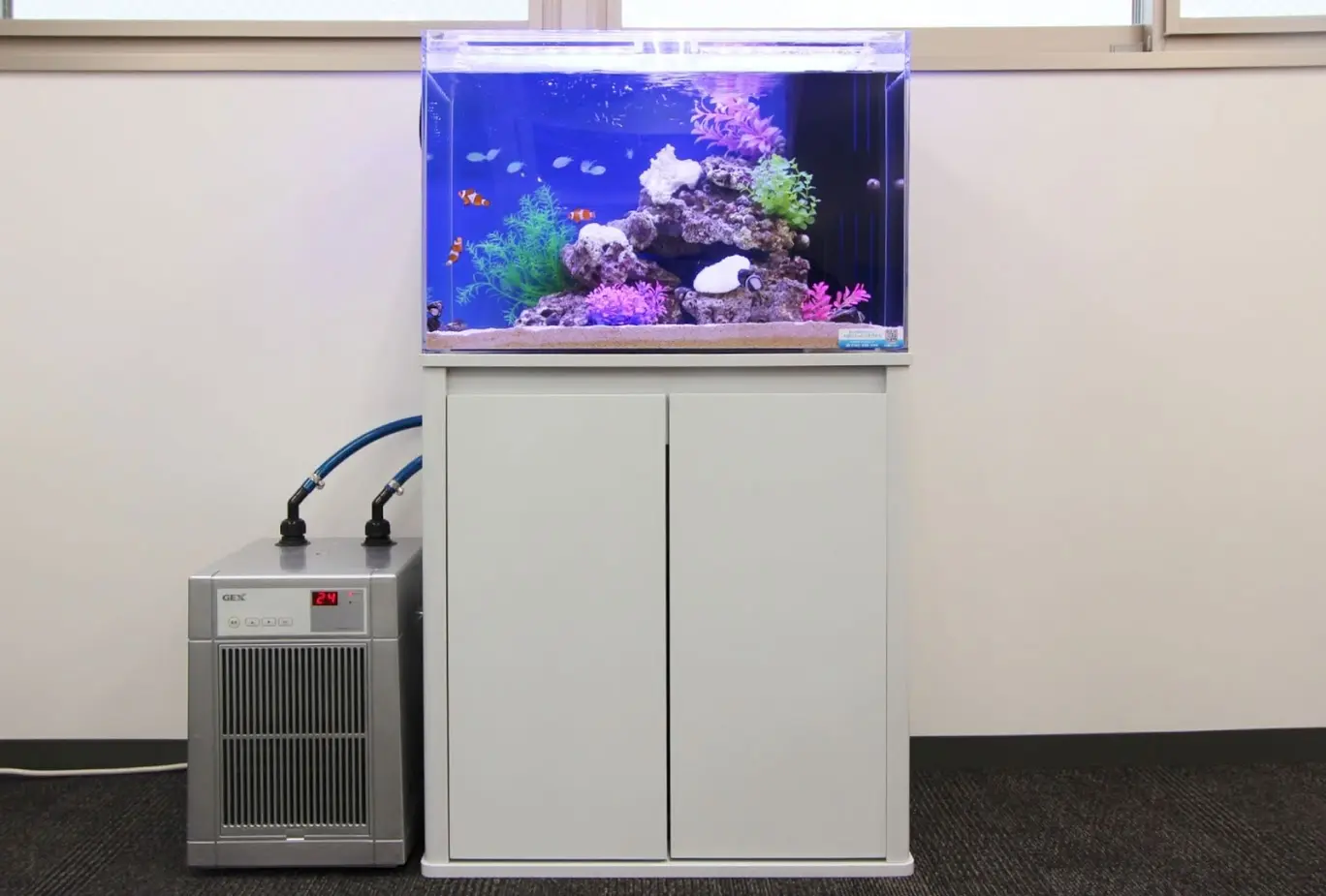 安心して利用できる 中古 の 水槽用クーラー|アクアリウム情報 安心して利用できる 中古 の 水槽用クーラー|アクアリウム情報