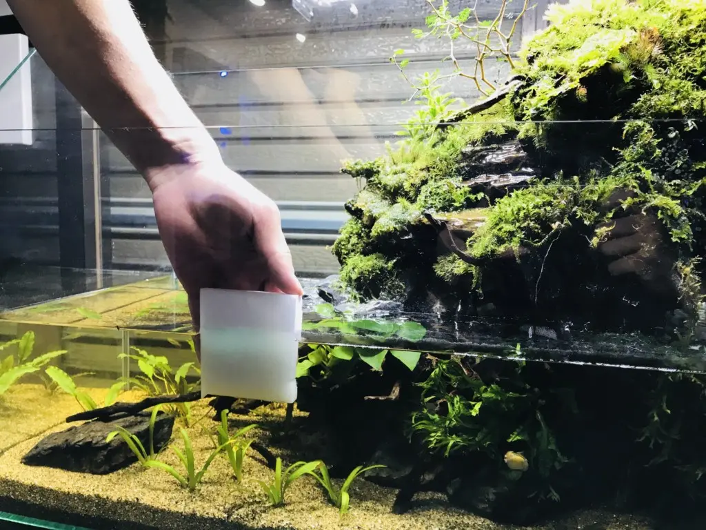 アクアテラリウム水槽を美しく維持管理する正しいお掃除手順法