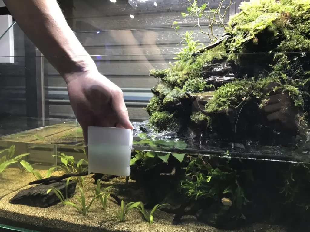 アクアテラリウム水槽を美しく維持管理する正しいお掃除手順法
