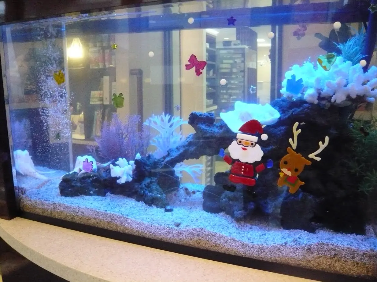 クリスマスの水槽レイアウト事例｜アクアリウム情報メディア トロピカ