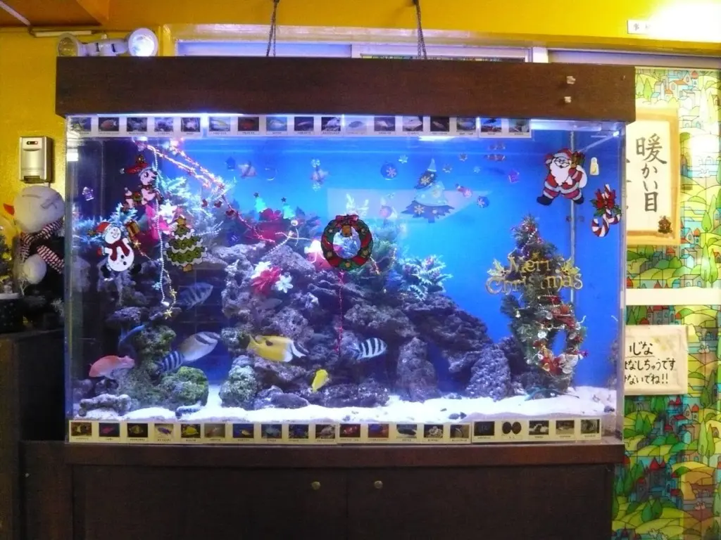 クリスマスの水槽レイアウト事例｜アクアリウム情報メディア トロピカ