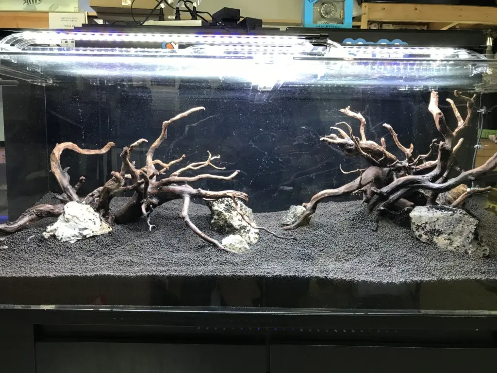 120センチ水槽でネイチャーアクアリウムを作ってみました