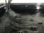 コケと水流 水流を調整してコケを抑制しよう 正しい水流の考え方を解説 トロピカ