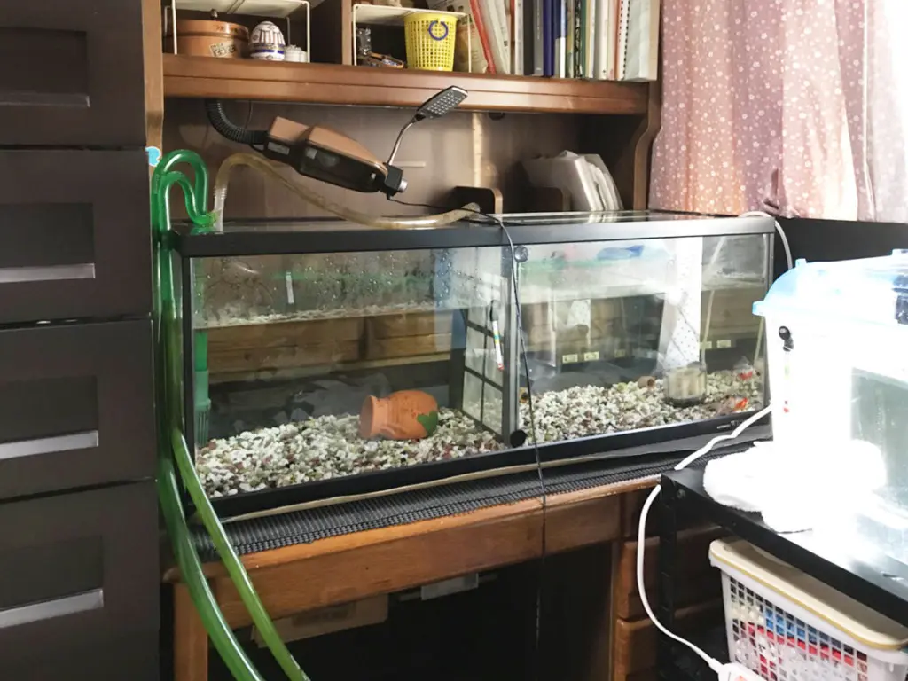 家具を熱帯魚用の水槽台として利用する！？学習机がちょうどよい理由と