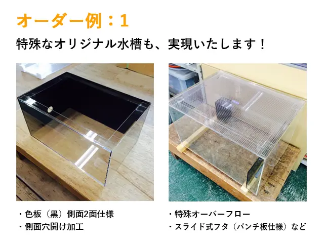 アクリル水槽とは? その価格や作り方などを紹介します アクリル水槽とは? その価格や作り方などを紹介します