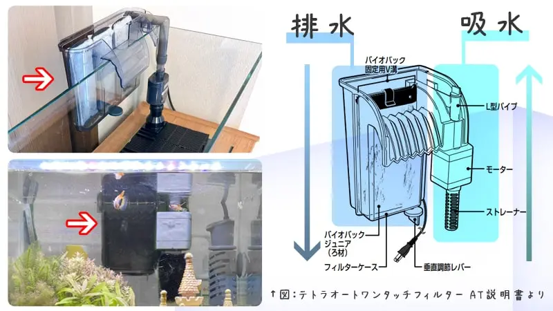 小型水槽に外掛け式フィルターがおすすめな理由と人気機種ベスト3 