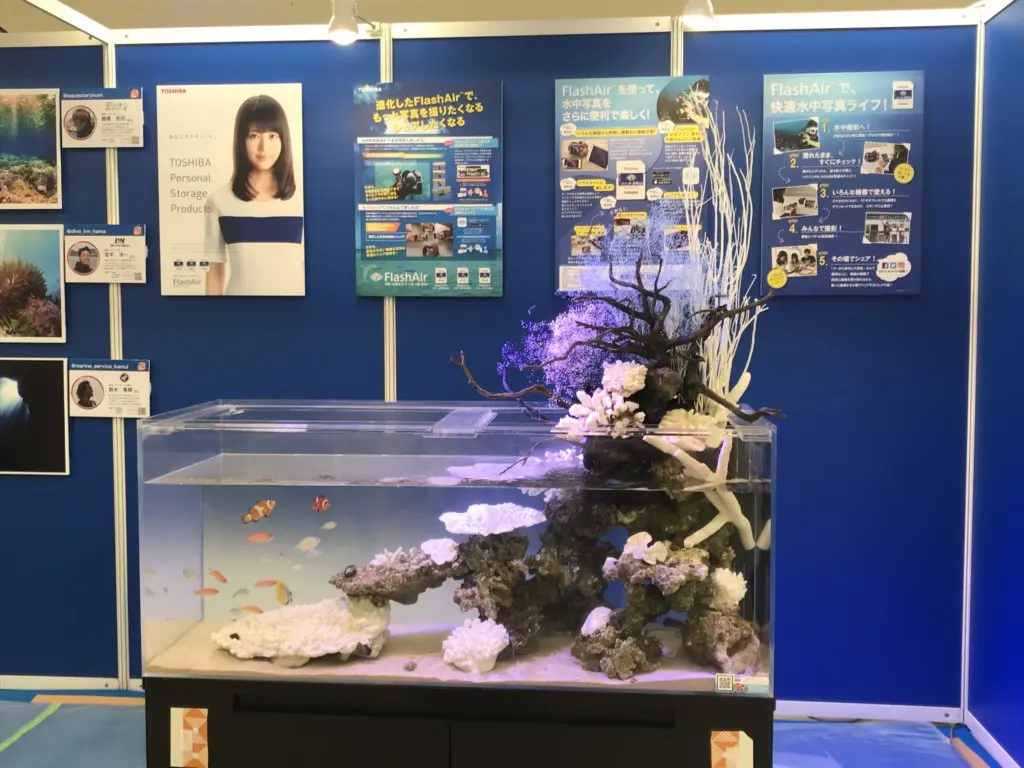 インスタ映え間違いなし!!】マリンアクアテラリウム水槽の作り方