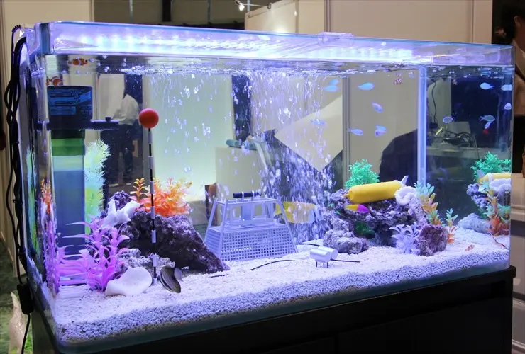 初心者~中級者向け】90cm水槽のレイアウト事例をご紹介します 初心者~中級者向け】90cm水槽のレイアウト事例をご紹介します