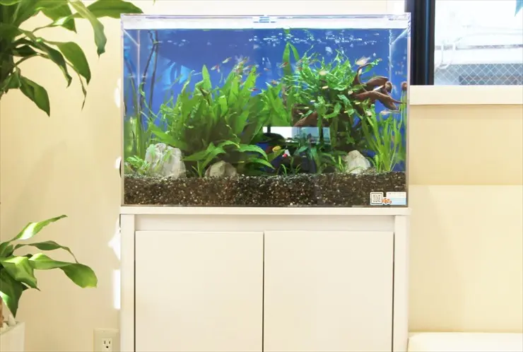水槽ﾌﾙｾｯﾄ LED三段階変化 熱帯魚 アクアリウムセット ミニチュア ランドスケープ 7点セット景観が含まれ