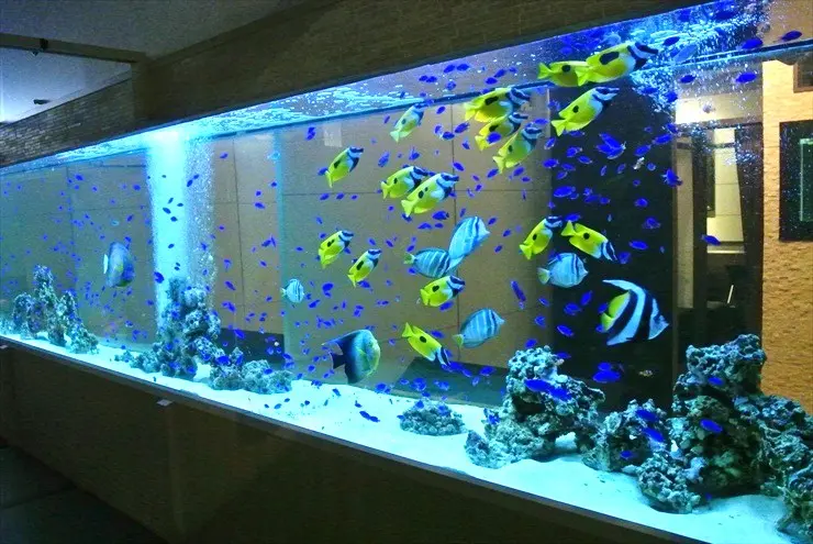 値下げしました！アクリル水槽　2400×400×h600 状態良大型水槽巨大水槽海水魚熱帯魚金魚錦鯉日淡大型魚カンテツアロワナエイ DSC_0505-1024x691.jpg
