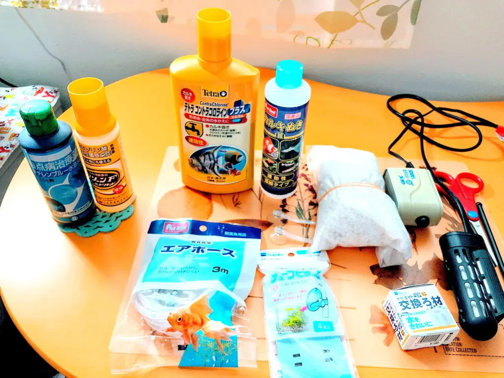 初心者向け】熱帯魚飼育に最低限必要な器具、メンテナンス道具とは 