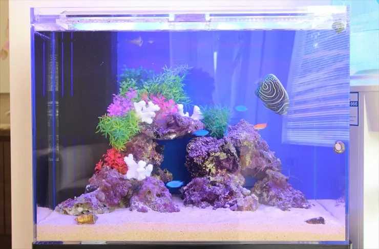 アクアリウム情報メディア トロピカ