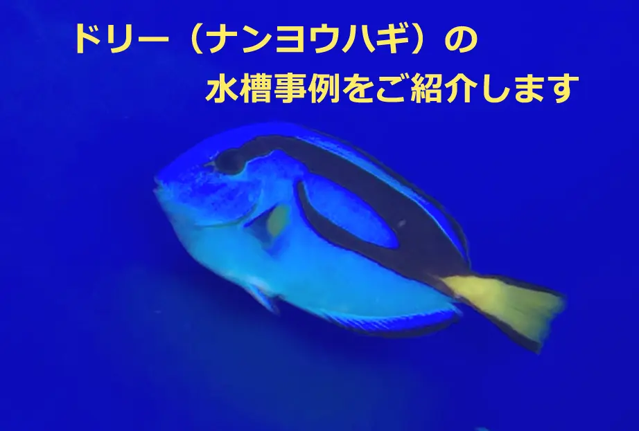 image001-1.jpg.webp