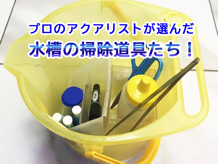 水槽メンテナンスに使う道具のすべて【必須・便利なアイテムを解説