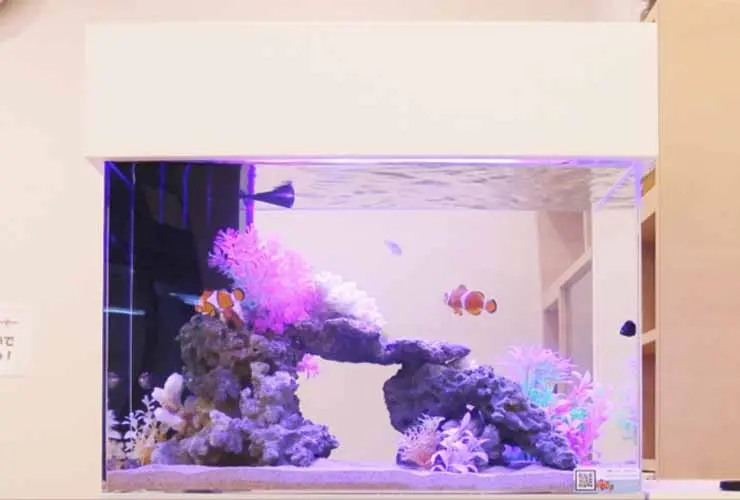 水槽上部カバー(キャノピー)とは！インテリア効果や遮光効果など特徴を