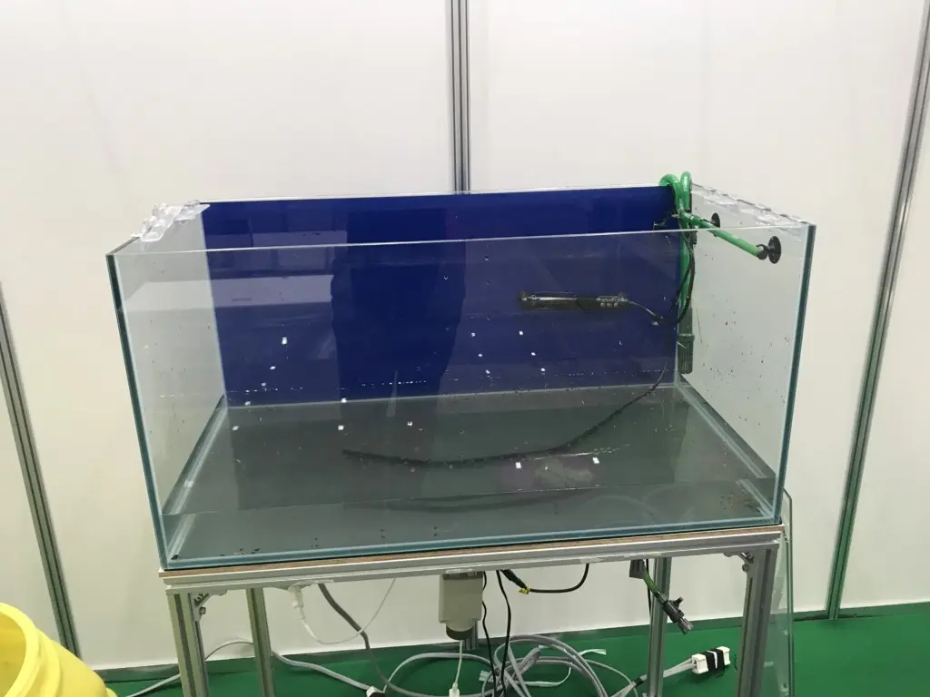 プロが教える！熱帯魚水槽の片づけ・撤去を効率良く迅速に行う方法 