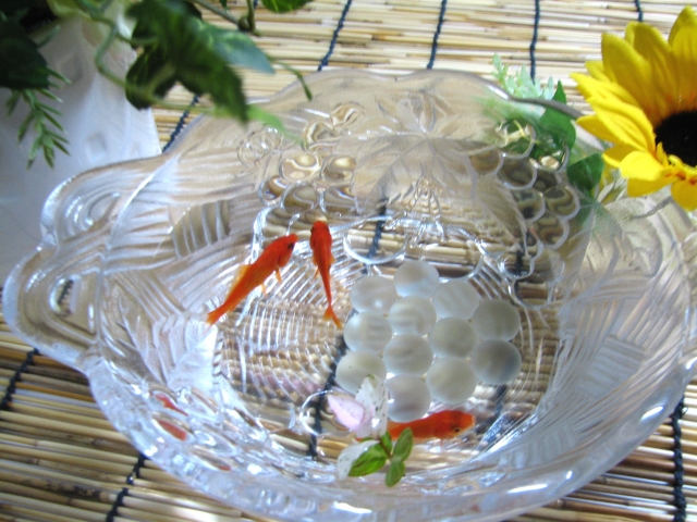 金魚を金魚鉢で飼育するときの注意点とおすすめの金魚鉢7選 トロピカ
