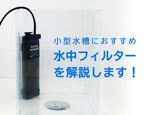 水中フィルターは小型水槽に最適！種類と特徴、おすすめ製品を解説 