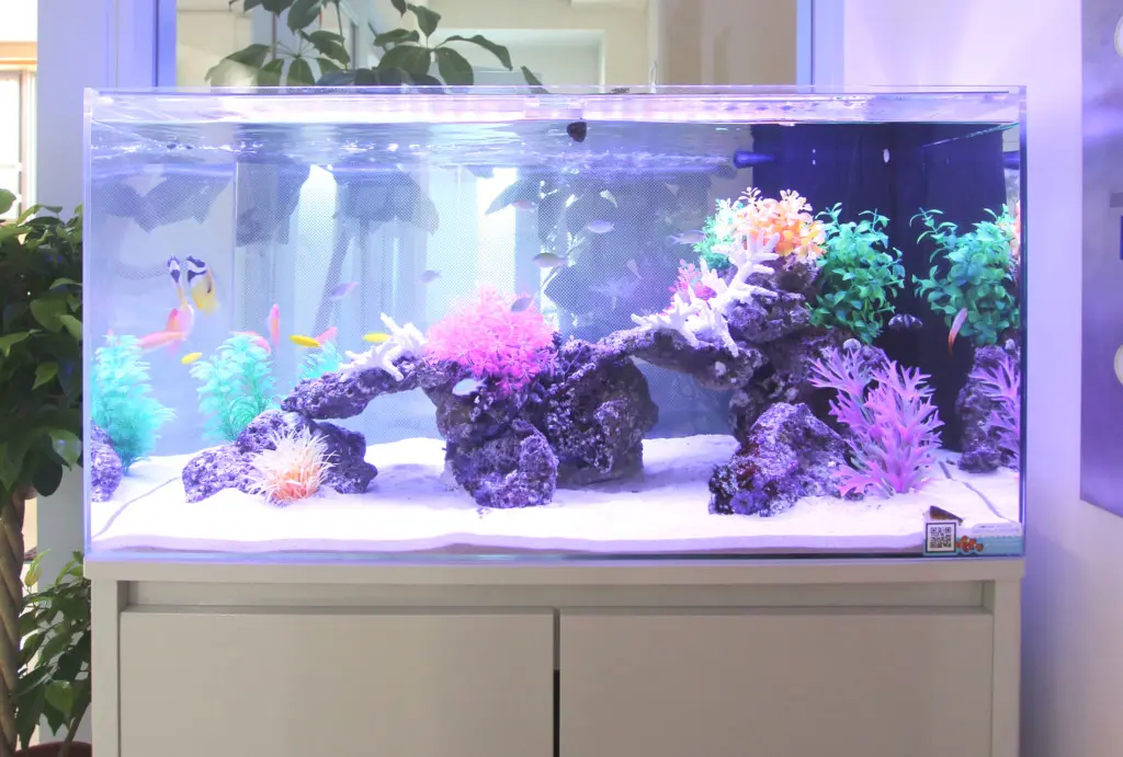 両面から見える水槽を作ろう！これがアクアガーデンのレイアウト術だ