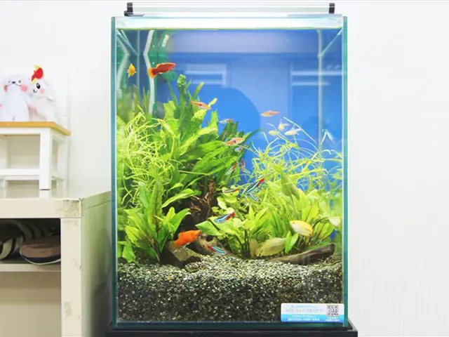 熱帯魚 飼育用品 色々あり 大量出品！ ジャンク扱い
