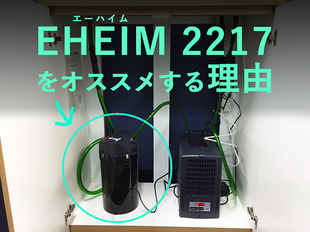 プロも絶賛 エーハイム2217を解説 90cmからの水槽におすすめ