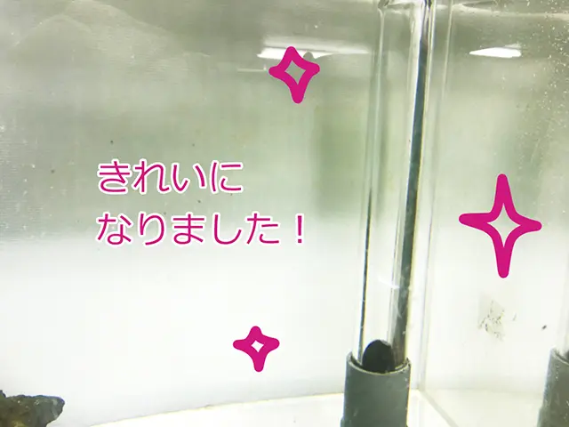 オーバーフロー水槽の掃除方法！フロー管、3重管をきれいにする方法と