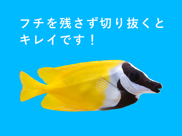 魚の年賀状 熱帯魚やアクアリウムでおしゃれな年賀状を作ろう データプレゼントもあります トロピカ