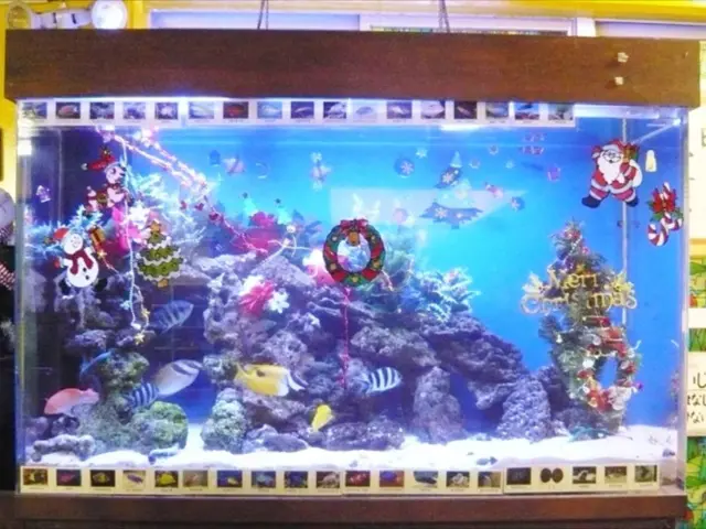 水槽用 アクセサリーセット アクアリウム関連色々まとめて 楽天市場 