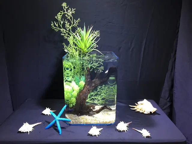 排水可能小型水槽　アクアリウム　テラリウムなどに！ 超小型水槽特集！小さくておしゃれな水槽で飼える熱帯魚とレイアウトと