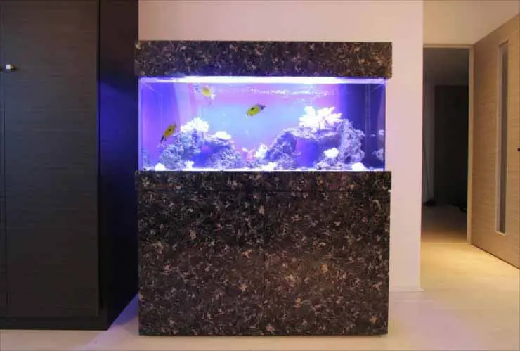 アクアリウムの高級品！ワンランク上の贅沢な装備を紹介解説いたします