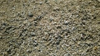 細め砂と粗め砂はどちらが良い？海水魚飼育におすすめな底砂を解説します