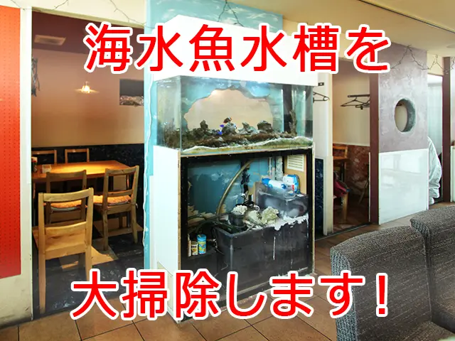 海水水槽の大掃除に密着!水槽メンテナンスのプロによる掃除で綺麗に 海水水槽の大掃除に密着!水槽メンテナンスのプロによる掃除で綺麗に