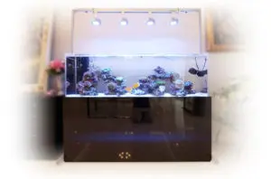 高級な水槽台を手に入れよう！気になる重量や材質、おすすめの商品まで