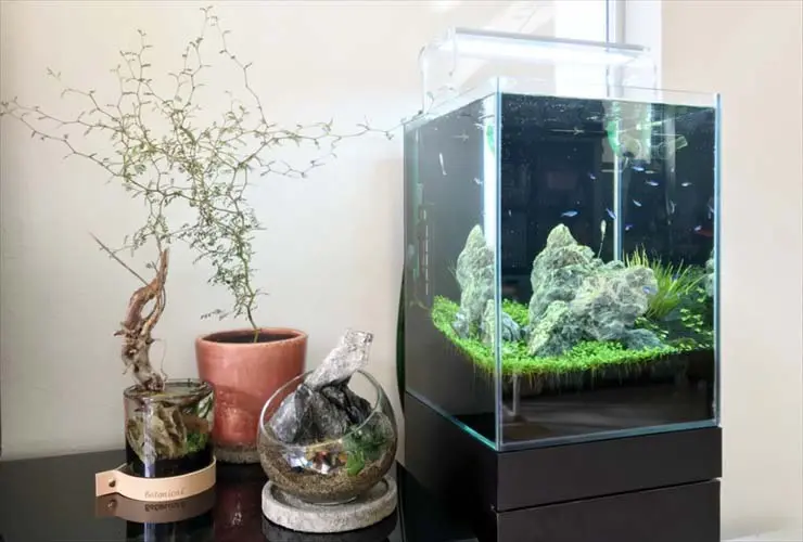 水槽　30ハイタイプ 海水30cmハイ水槽始動！ ～機材取り付け～ - 淡水海水30cm生活
