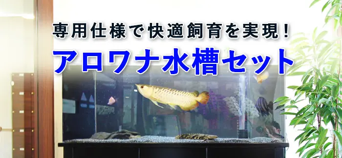アロワナ専用大型水槽 東京アクアガーデンのアロワナ水槽セット！その機能的な仕様に迫る