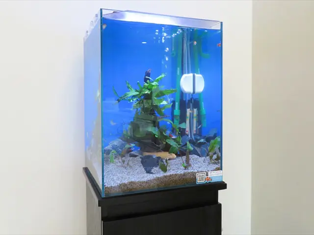小型水槽のお掃除はこれで決まり】小型水槽用メンテナンス用品をご紹介