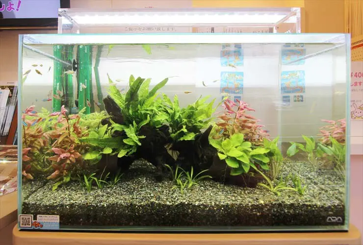水槽、水草ＬＥＤ照明 水槽 ライト LED 60cm タイマー 水草育成 アクアリウムライト led 3つ