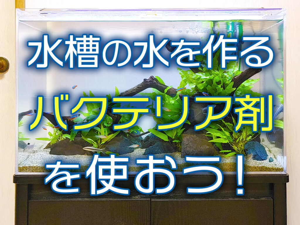 tr20220408-1024x768.jpg