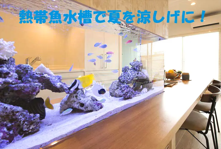 熱帯魚水槽で夏を涼しげに！アクアリウムでお部屋を涼しく演出した事例