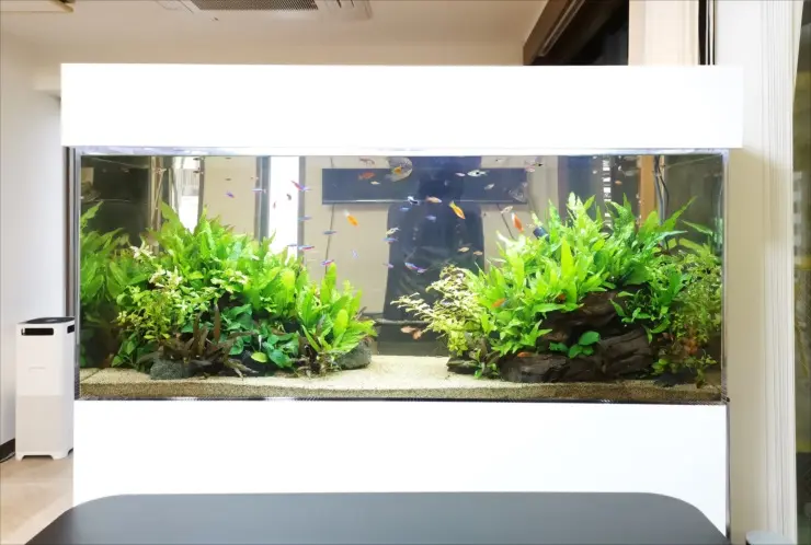 機材なしで水草水槽にCO2を添加する方法！利点とおすすめアイテムを