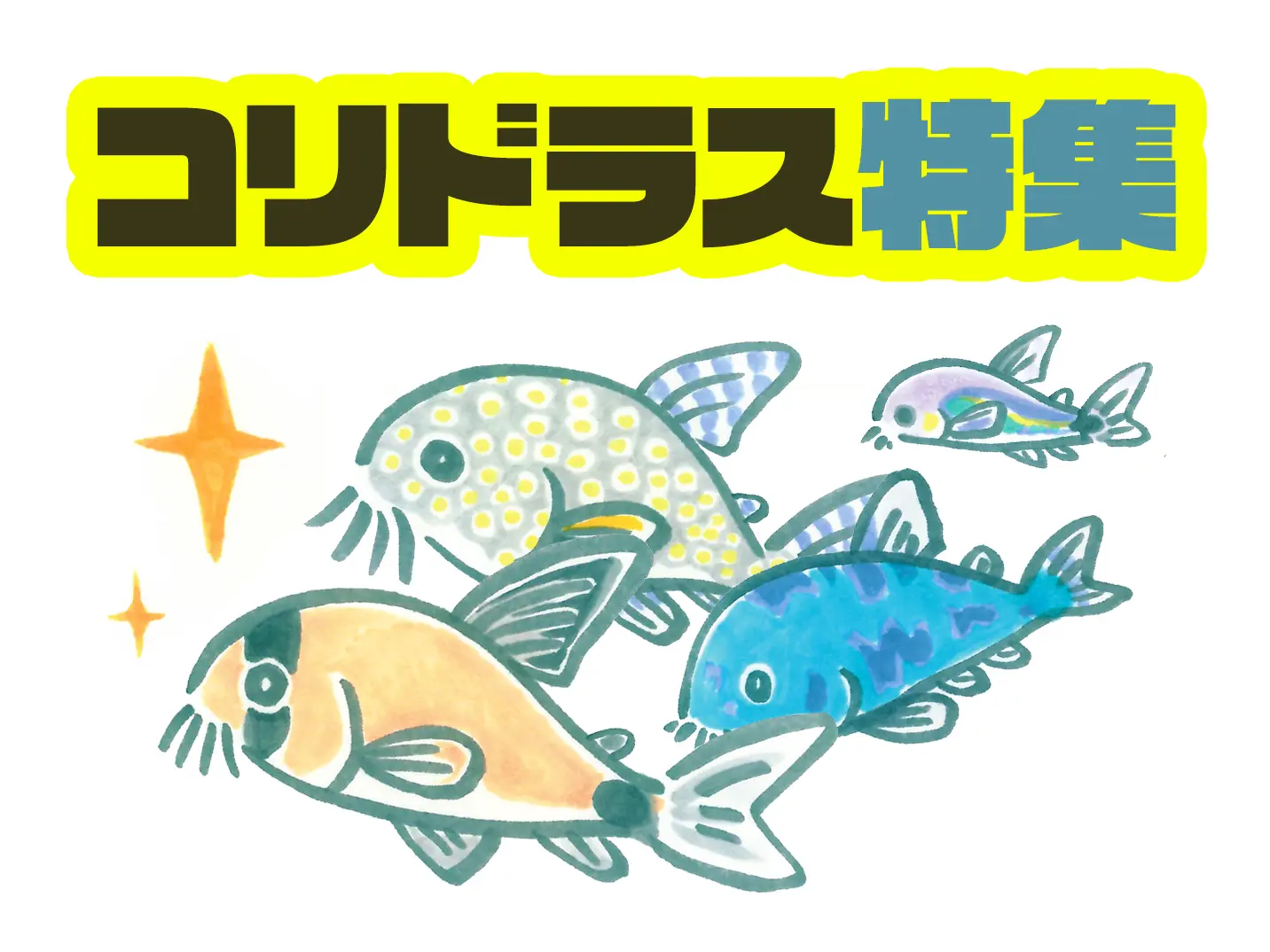 コリドラス特集！人気の種類から珍しい種類まで、かわいい20種をご紹介