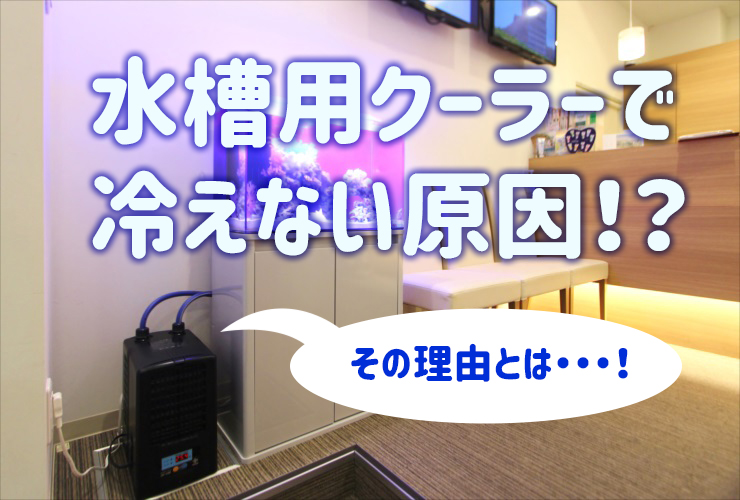 水槽用クーラーを設置したのに水が冷えない 理由と対応策を解説します トロピカ